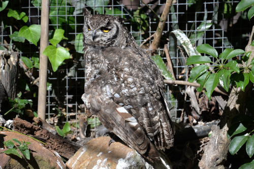 World of Birds Wildlife Sanctuary.